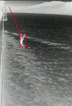 Man Overboard System